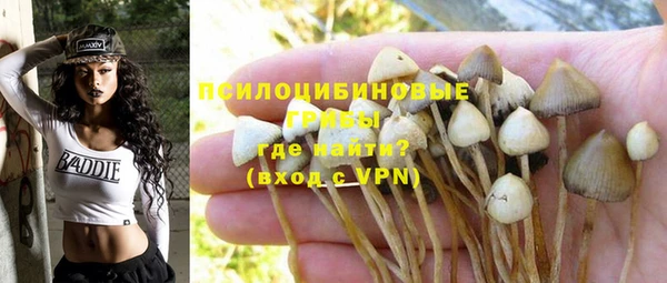 ГАЛЛЮЦИНОГЕННЫЕ ГРИБЫ Лихославль